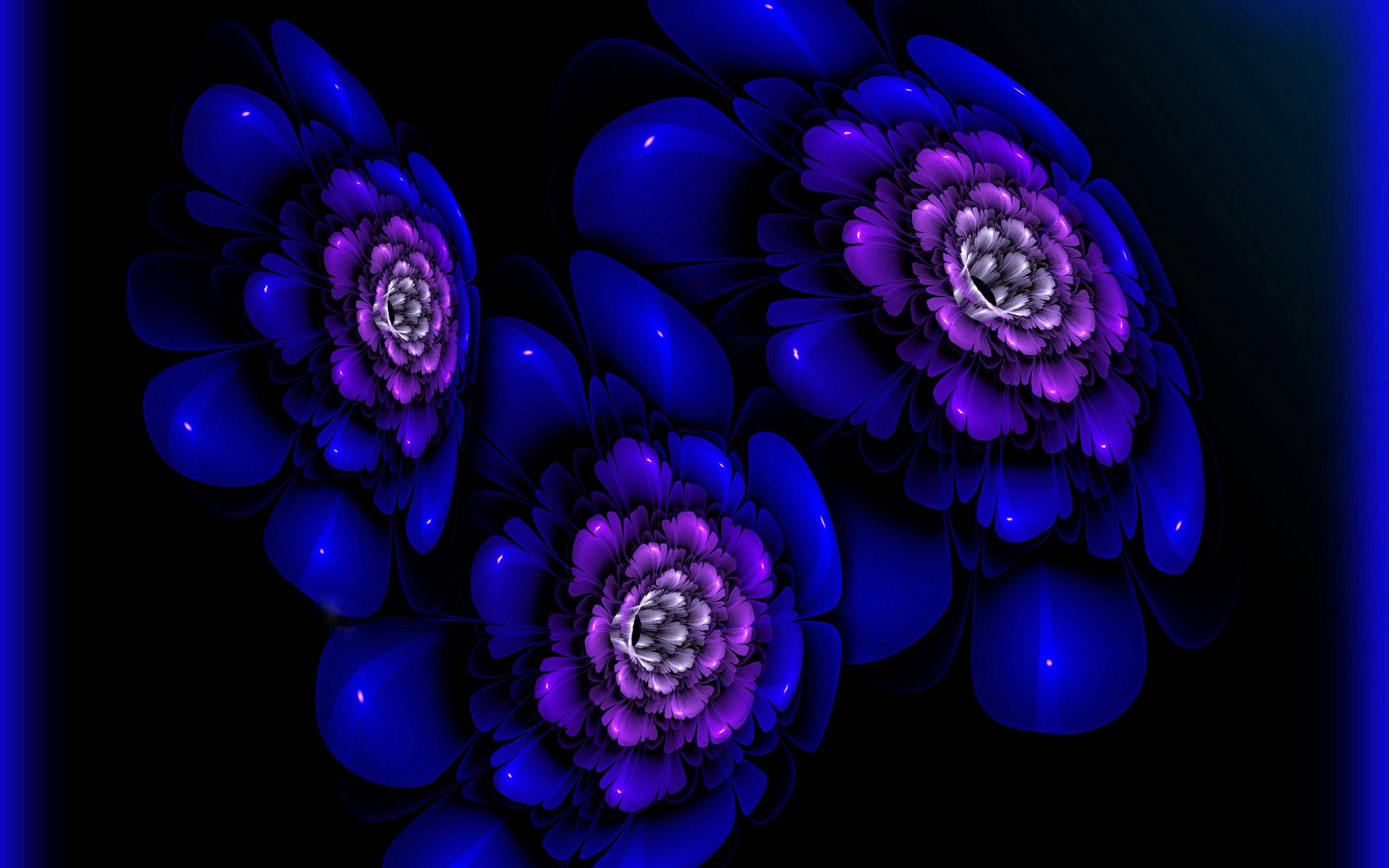 碎形 桌布 壁紙 — 三朵發光的碎形花朵，帶有深藍色花瓣和紫色中心，在黑色背景上放射光芒。