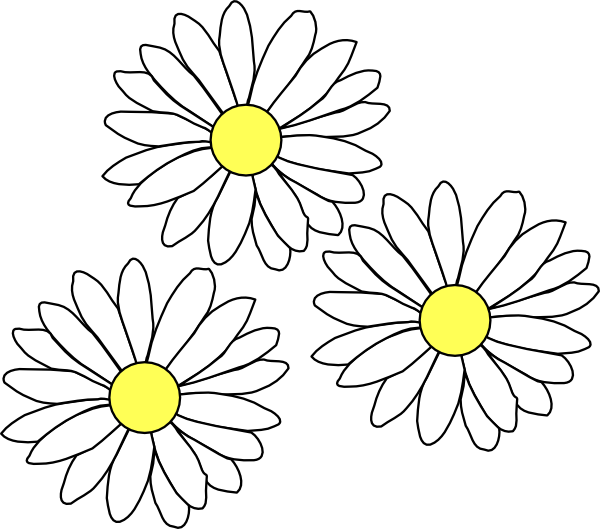 Daisies 桌布 壁紙 — 三朵簡單輪廓的雛菊，帶有黃色花心，漂浮在純白色背景上。