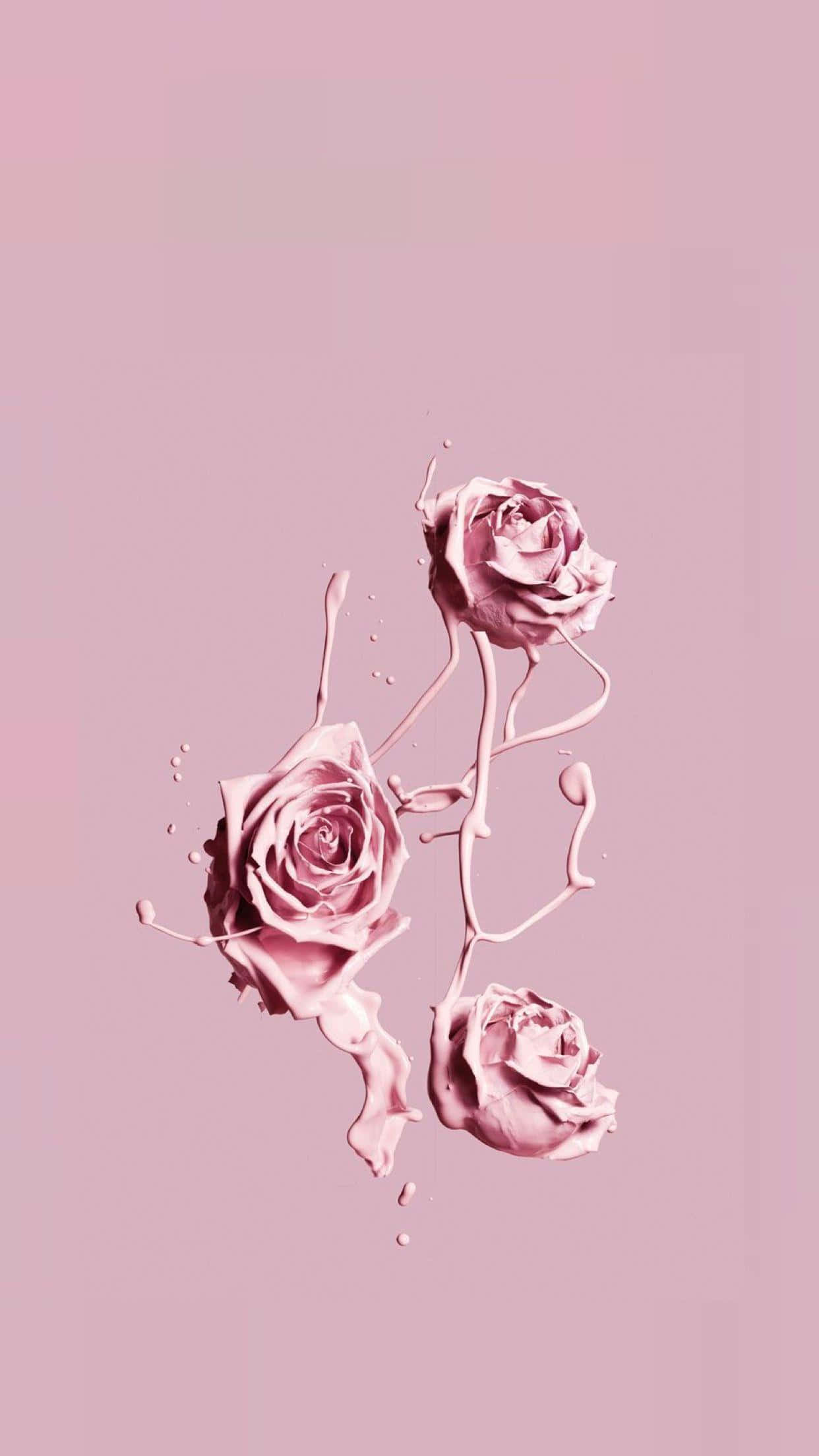 Pink Rose 桌布 壁紙 — 三朵粉紅玫瑰在柔和的粉紅背景下看似融化為液體顏料。