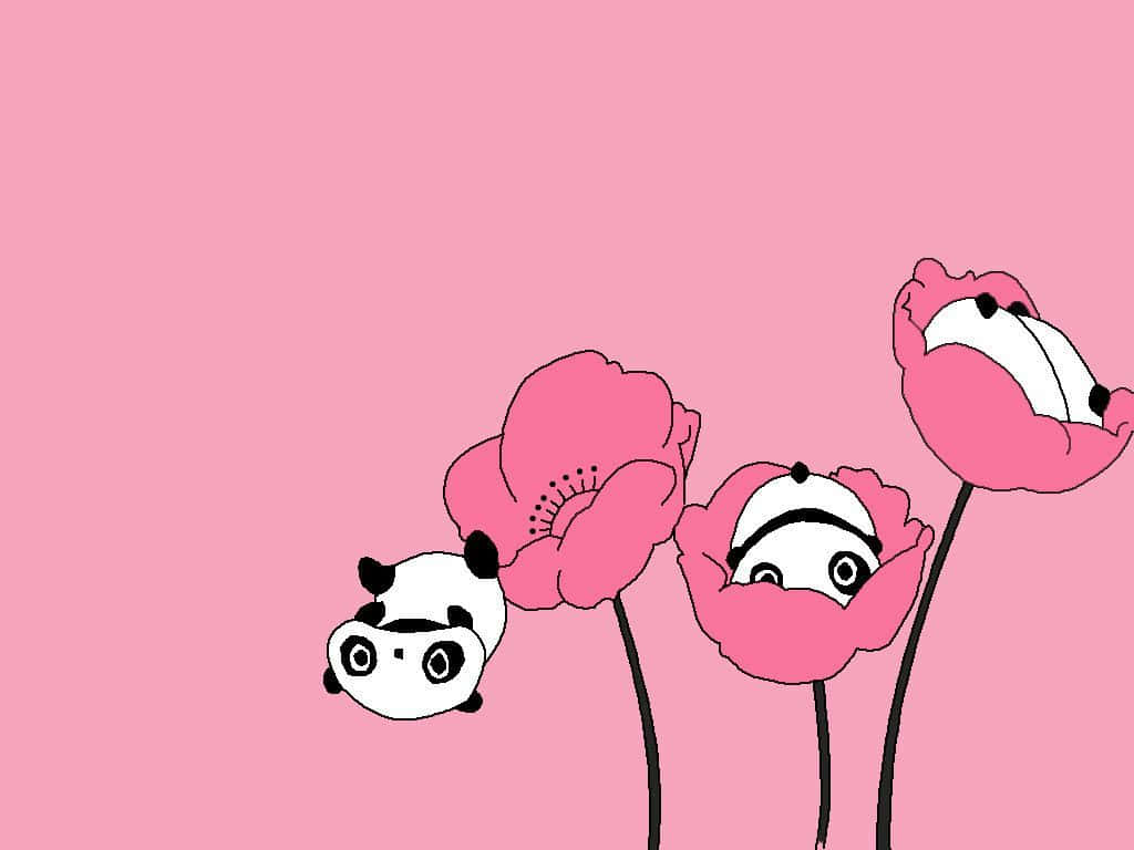 Cute Panda 桌布 壁紙 — 三朵粉紅色罌粟花，帶有卡通熊貓臉，在純粉紅色背景上探出頭來。