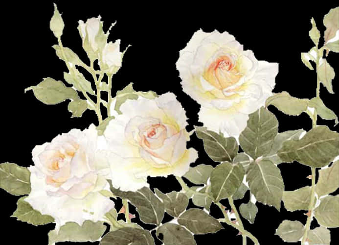 White Flowers 桌布 壁紙 — 三朵精緻的白玫瑰，帶有柔軟的蜜桃色花心，在深黑色背景上與綠葉一同綻放。