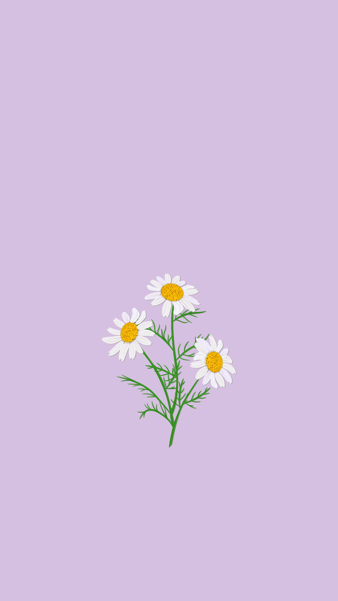 Aesthetic Flower 桌布 壁紙 — 三朵精緻的雛菊，黃色花心，在柔和的薰衣草背景上，纖細的綠色莖上盛開。