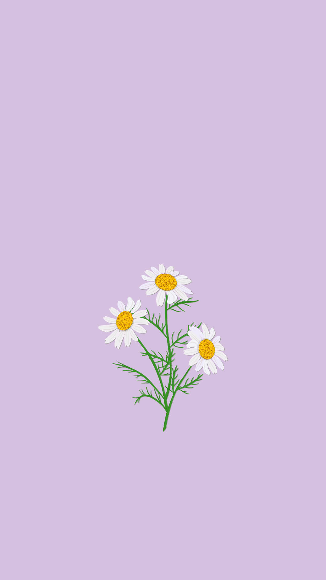 Aesthetic Purple Flower 桌布 壁紙 — 三朵精緻的雛菊，黃色花心，綠色莖幹，漂浮在柔和的薰衣草背景上。