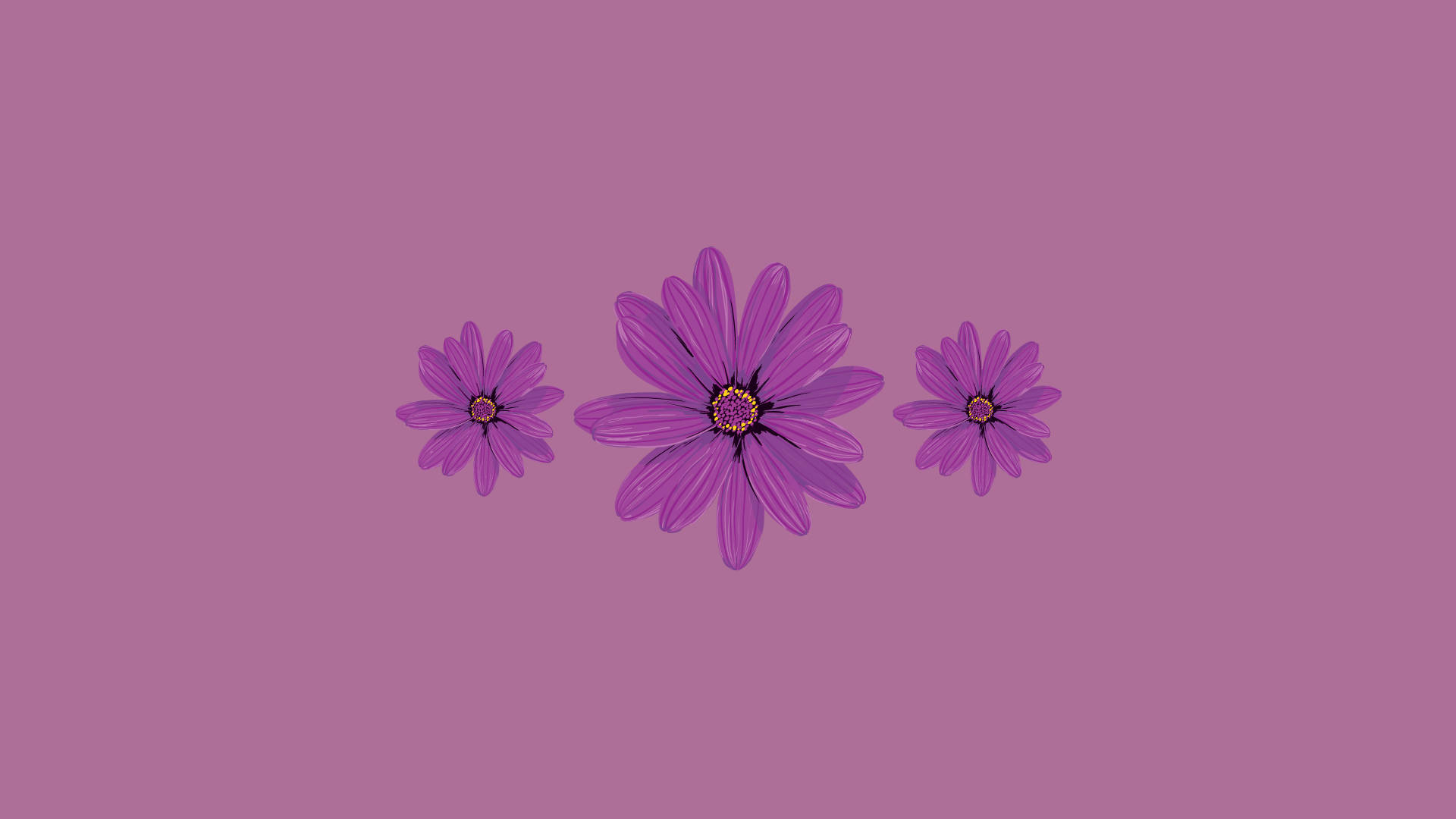 Daisy 桌布 壁紙 — 三朵風格化的紫色雛菊，帶有深色花心，漂浮在純色紫紅色背景上，構成極簡數位藝術作品。