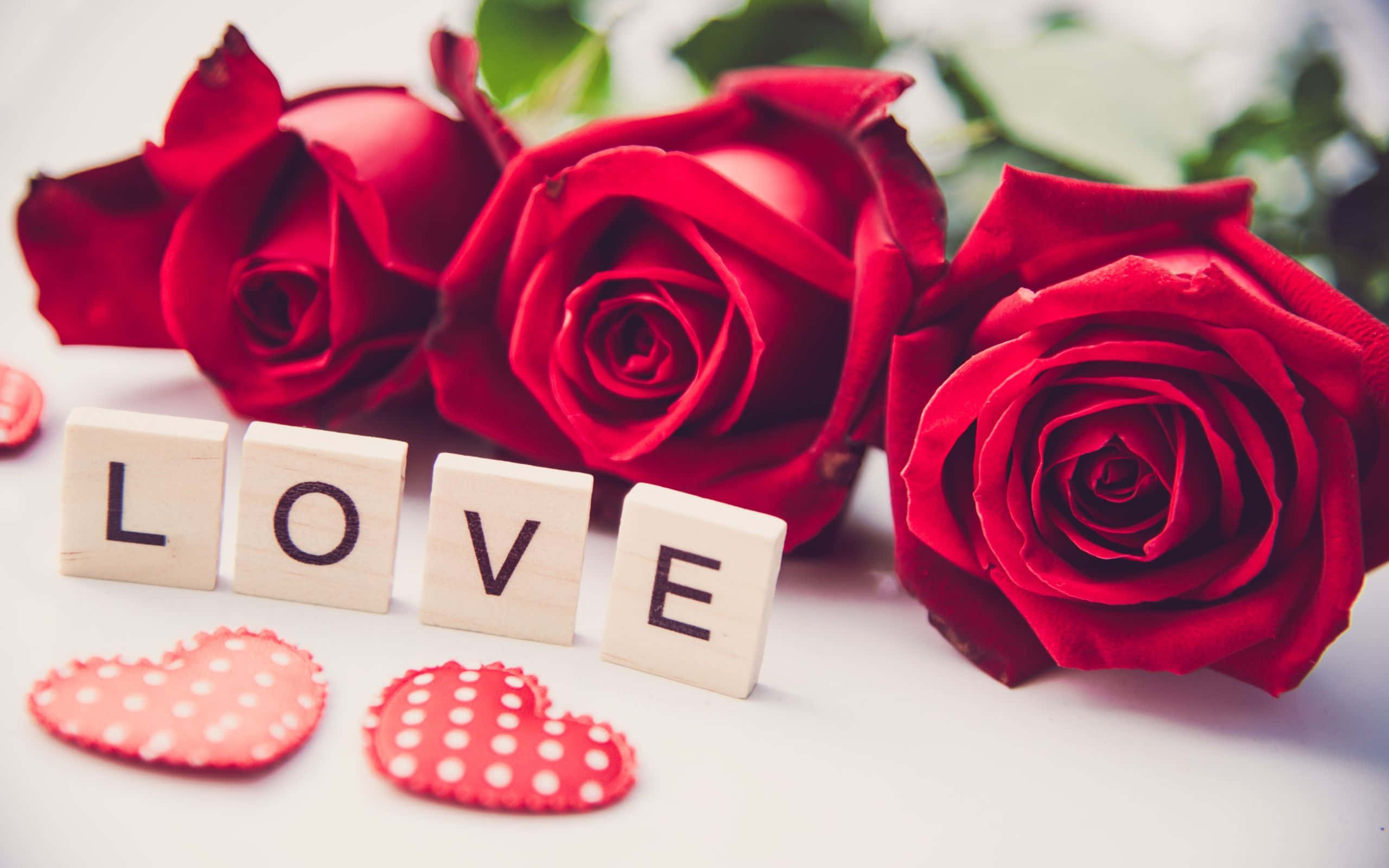 Red Roses 桌布 壁紙 — 三朵鮮紅玫瑰放在拼出 LOVE 的木塊和兩個紅色圓點心形旁邊，置於柔軟的白色表面上。