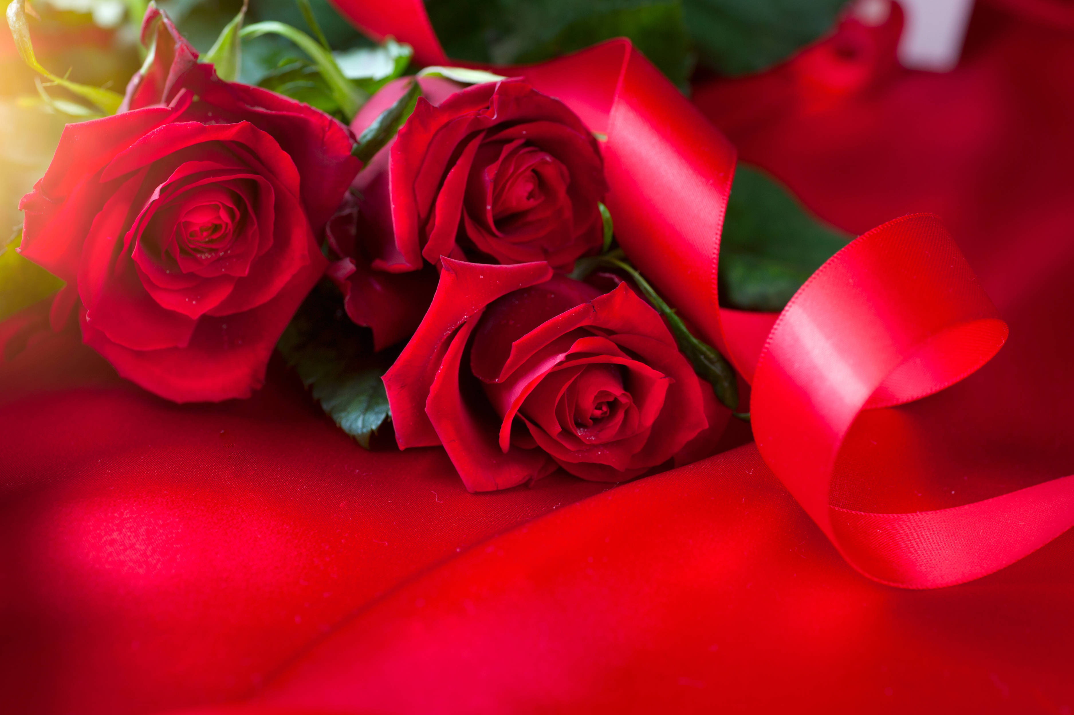 Romantic Rose 桌布 壁紙 — 三朵鮮豔的紅玫瑰，帶有光澤的花瓣和綠葉，放在豐富的紅色緞面表面上，旁邊是一條飄逸的紅絲帶。