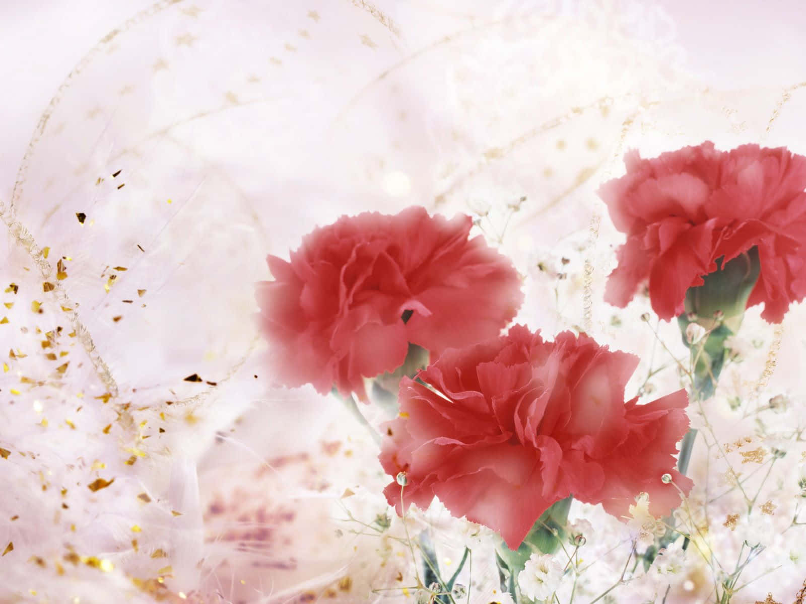Flower Art 桌布 壁紙 — 三朵鮮豔的紅色康乃馨在柔軟的白色布料和金色閃粉中綻放，背景是夢幻的粉彩。