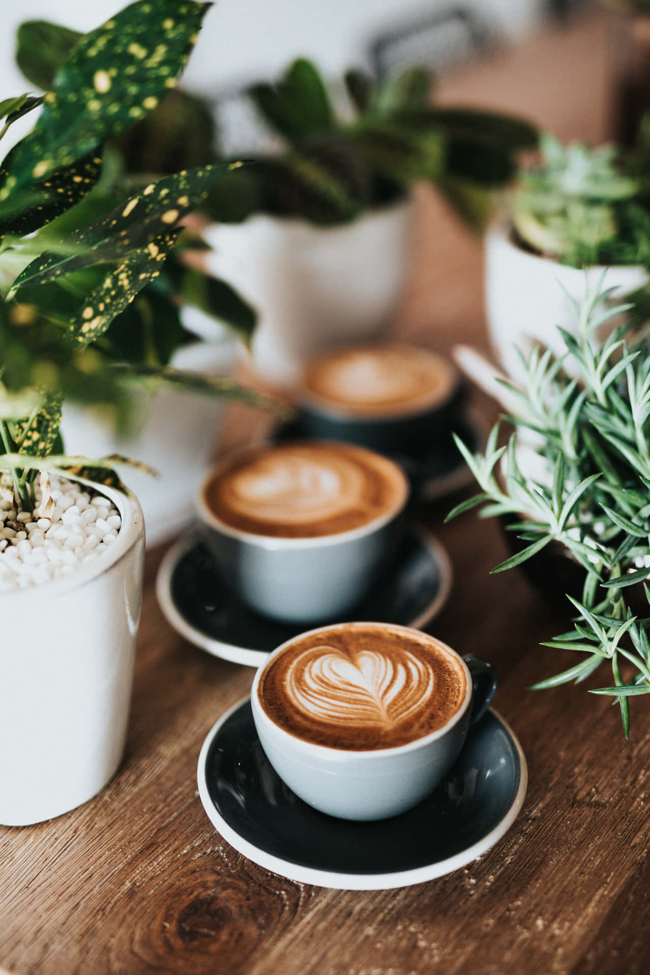 Coffee Aesthetic 桌布 壁紙 — 三杯帶有心形拉花藝術的咖啡放在木桌上，周圍環繞著茂盛的綠色盆栽植物。