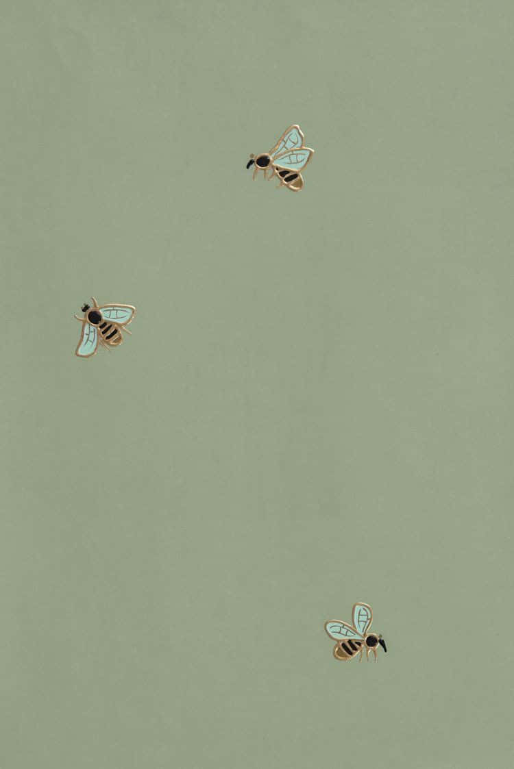 bees 桌布 壁紙 — 三枚精緻的琺瑯蜜蜂胸針，帶有金色輪廓和淺藍色翅膀，漂浮在柔和的鼠尾草綠色背景上。
