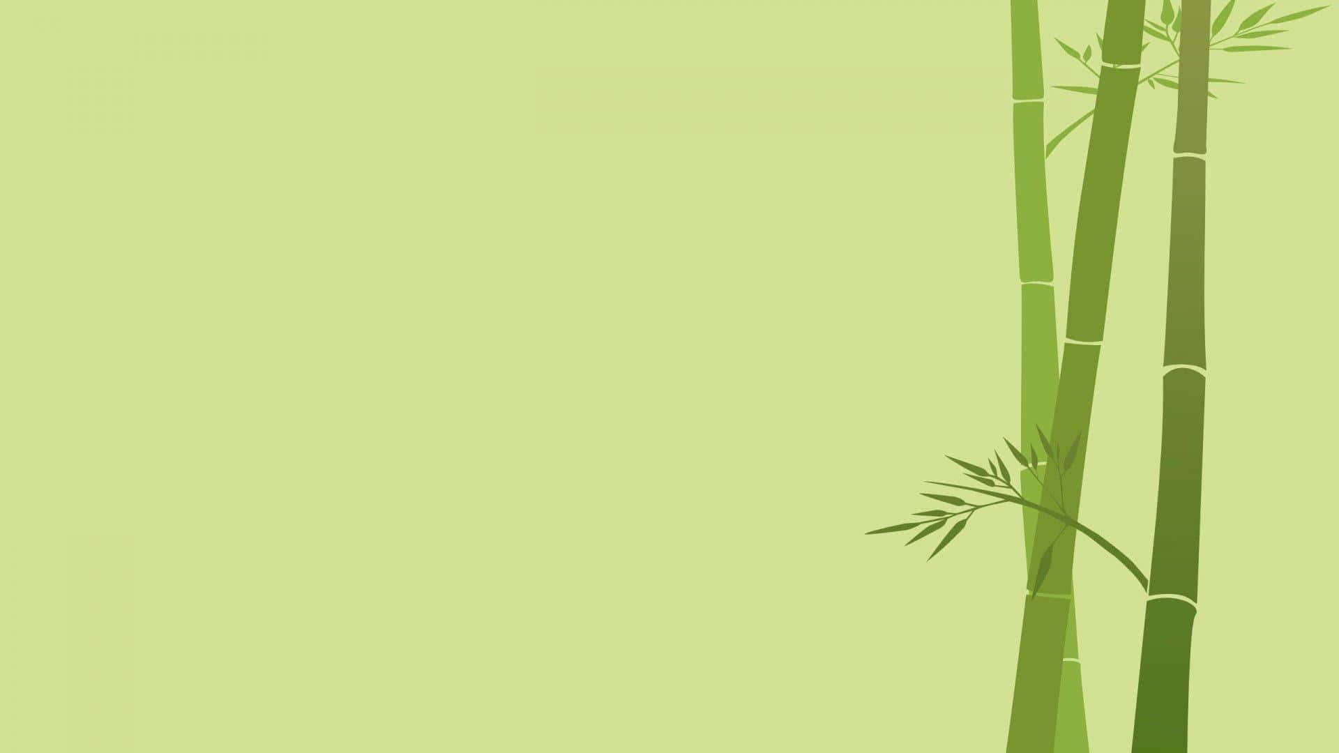 Minimalist Green 桌布 壁紙 — 三枝風格化的竹莖連葉從右側出現，背景為純淡綠色。
