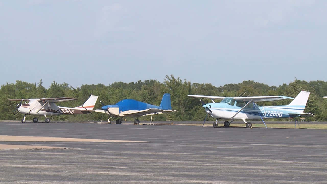 Aircraft 桌布 壁紙 — 三架小型螺旋槳飛機停泊在停機坪上，背景有樹木，天空朦朧。