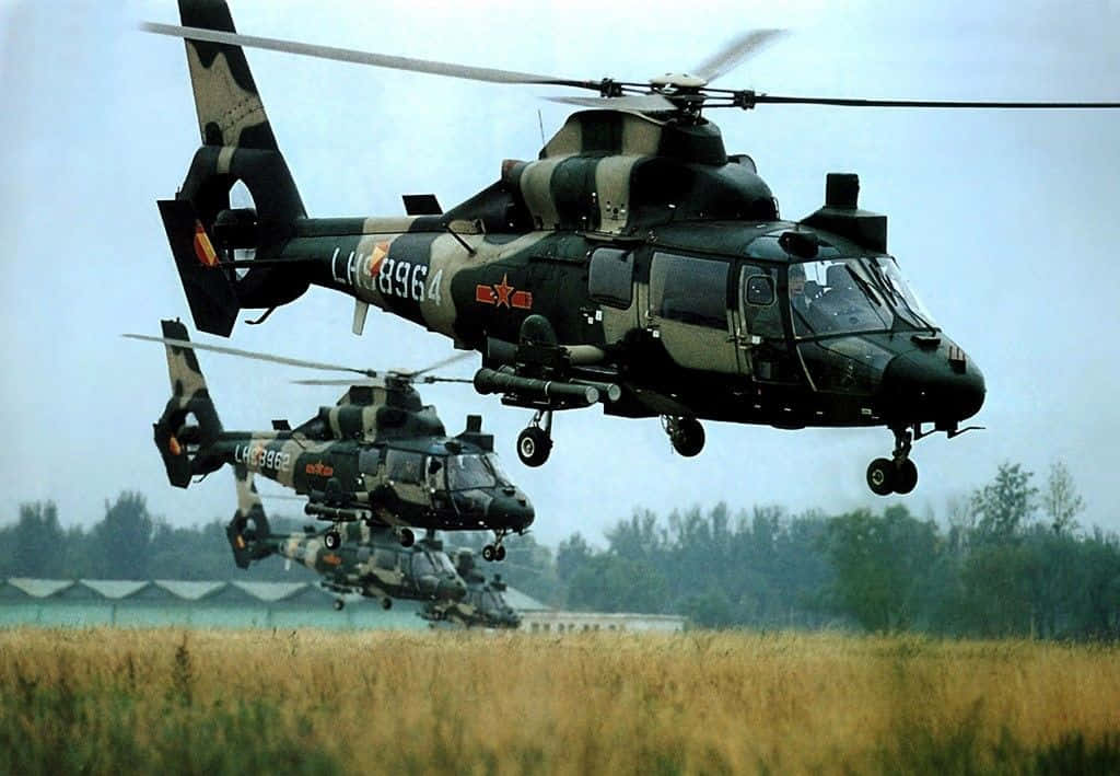 Helicopter 桌布 壁紙 — 三架軍用直升機以迷彩編隊低飛越過金色田野，背景有樹木和機庫。