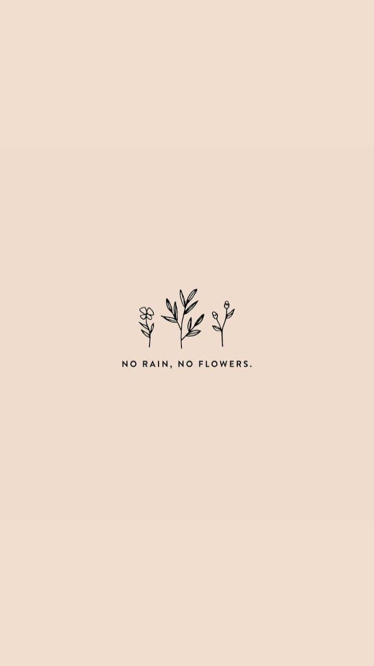 Cute Quotes 桌布 壁紙 — 三株風格化植物的極簡線條藝術，中央有「no rain no flowers」字樣，背景為柔和米色。