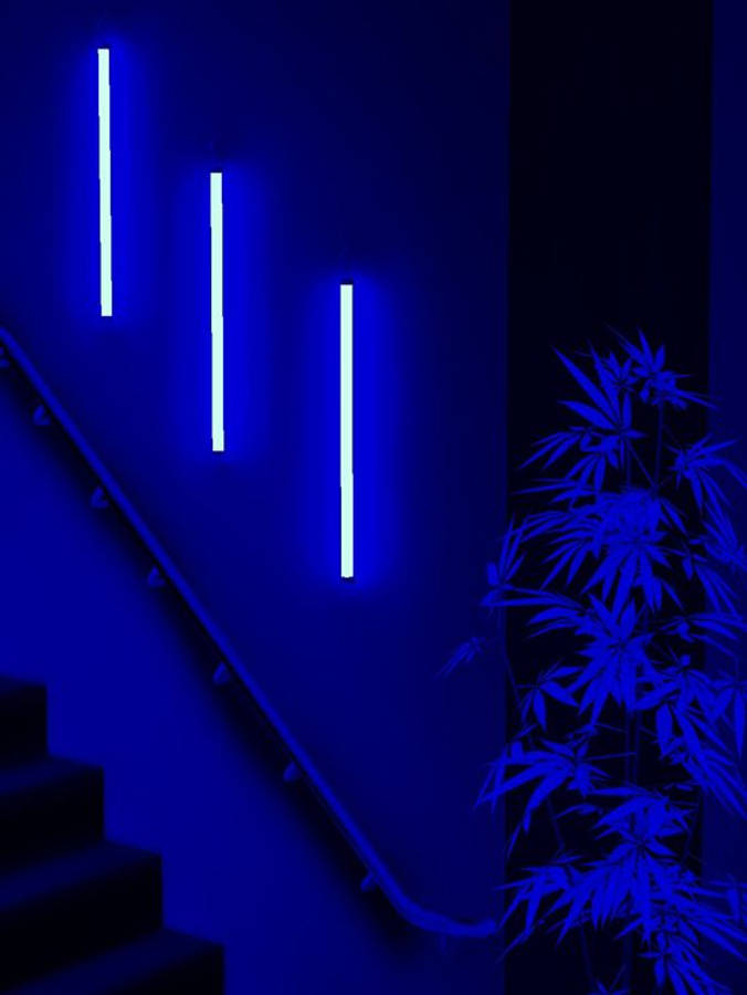 dark blue aesthetic tumblr 桌布 壁紙 — 三根垂直的藍色霓虹燈管照亮了樓梯和竹子植物，在一個黑暗的極簡主義室內空間中。