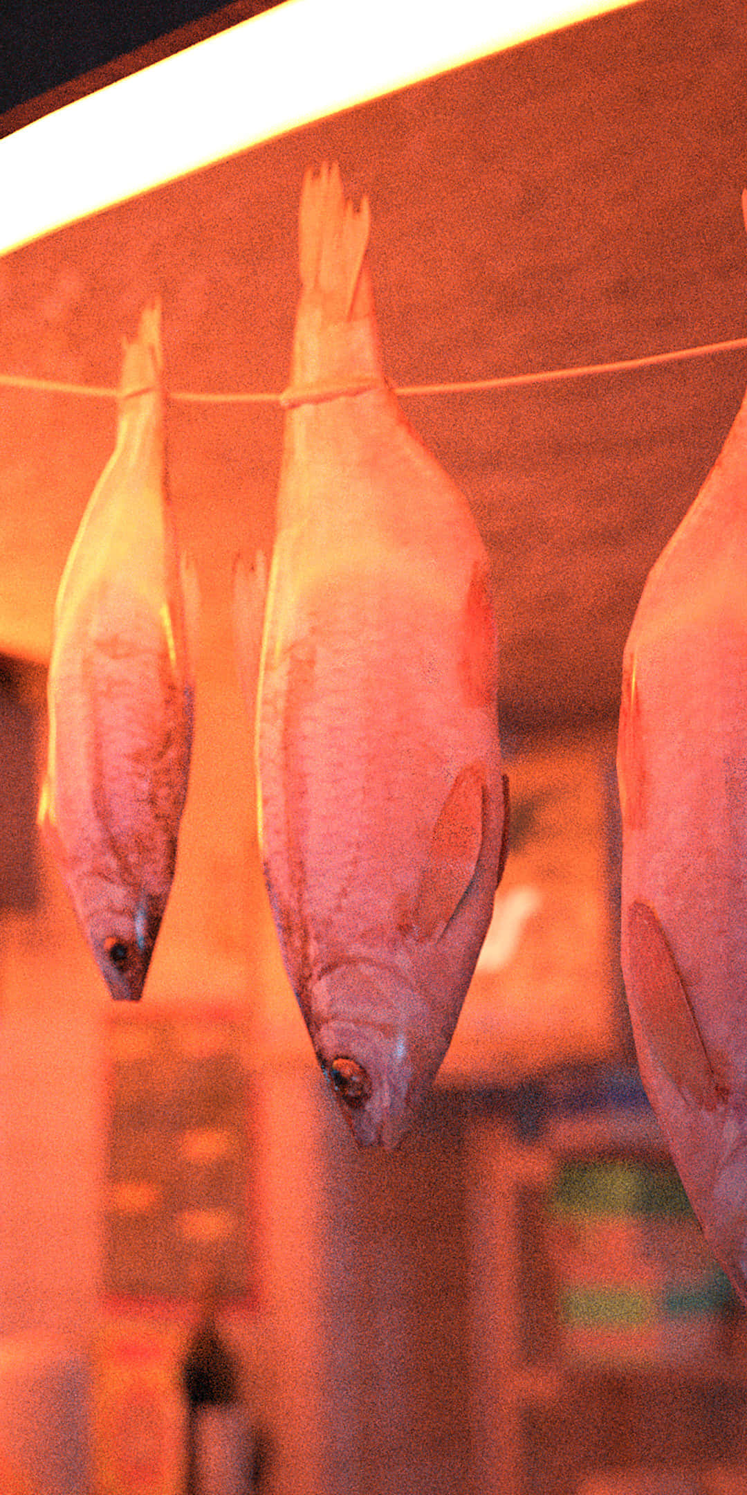Pixel 3 Fish 桌布 壁紙 — 三條完整的魚用繩子掛在鐵線上，在溫暖的橙色燈光下，位於一個鄉村市場攤位。
