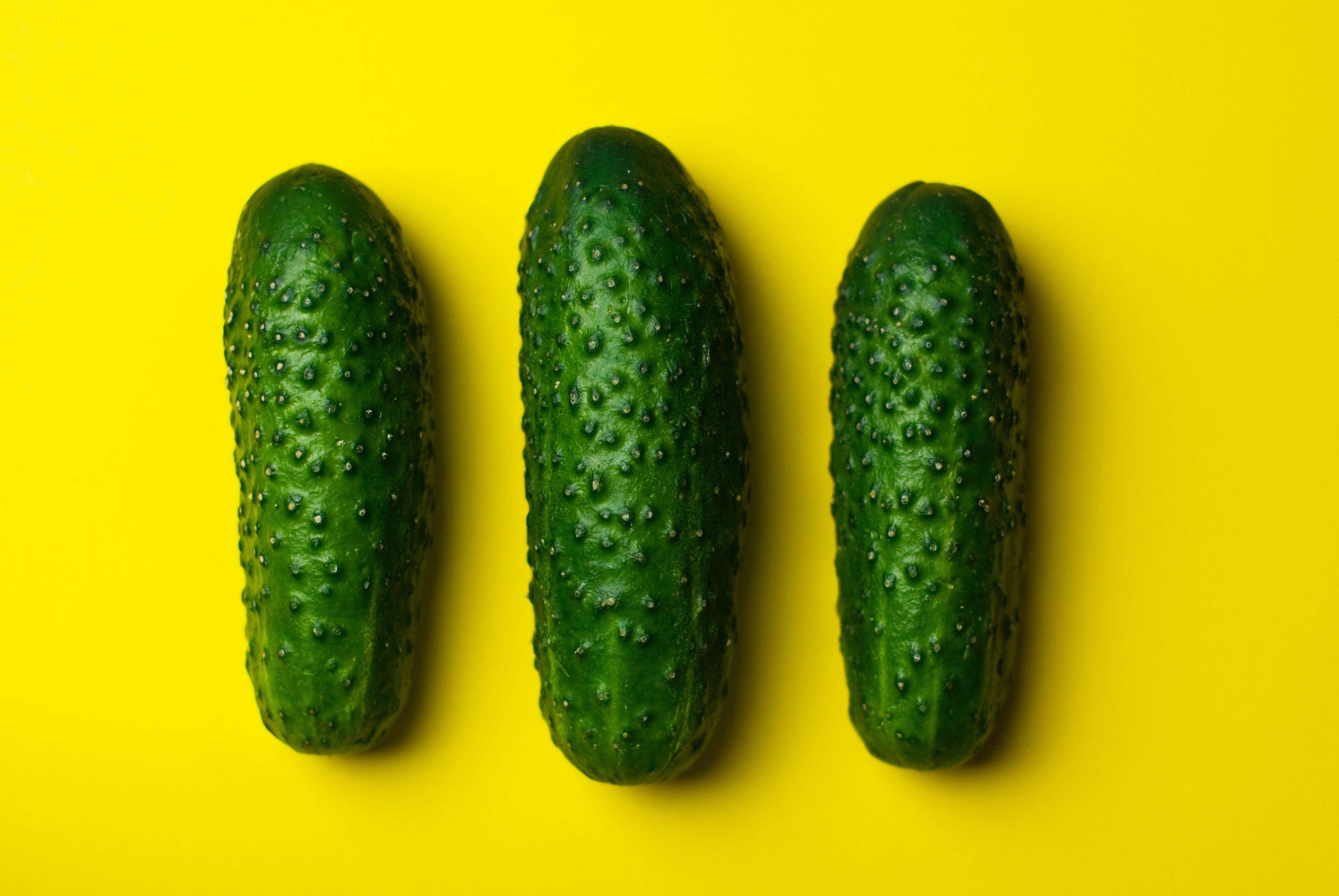 cucumber 桌布 壁紙 — 三條新鮮小黃瓜，表皮凹凸不平，排列在鮮黃色背景上。