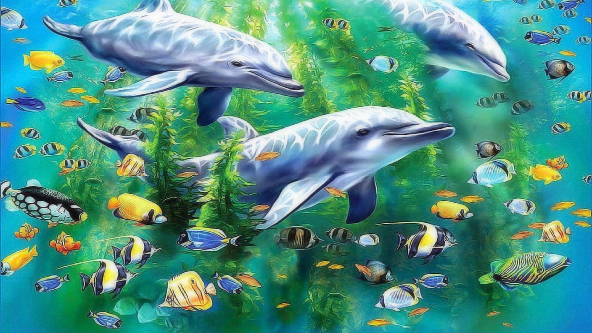 海豚 桌布 壁紙 — 三條海豚優雅地滑過充滿色彩繽紛的熱帶魚和搖曳的綠色海草的充滿活力的碧綠海水。