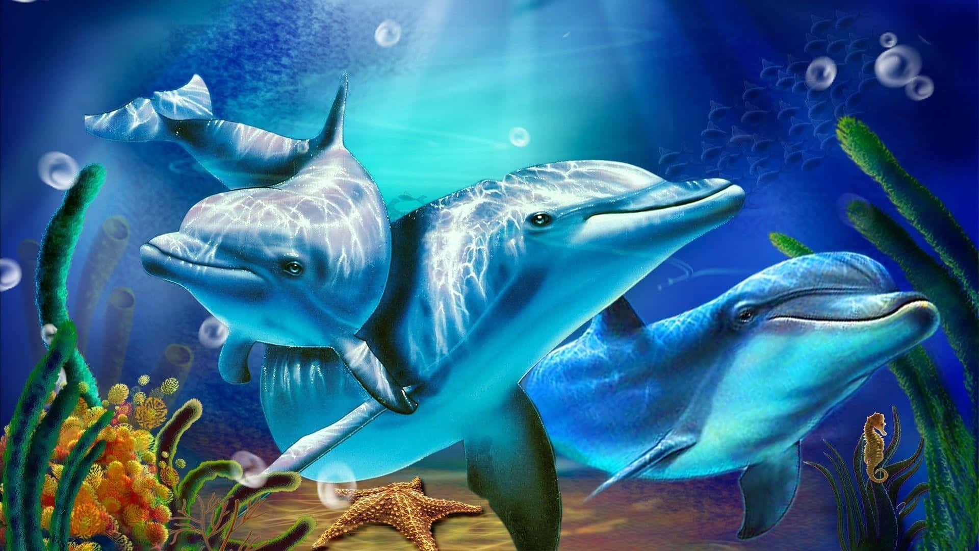 dolphins 桌布 壁紙 — 三條海豚在陽光普照的藍色海水中優雅地滑行，周圍環繞著色彩繽紛的珊瑚和海洋植物。