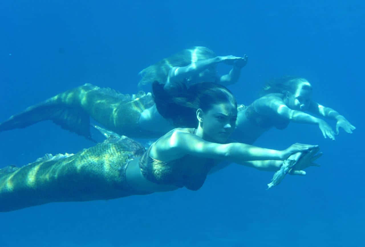 Real Mermaid 桌布 壁紙 — 三條美人魚在清澈的藍色海水中優雅地滑行，陽光從上方穿透下來。