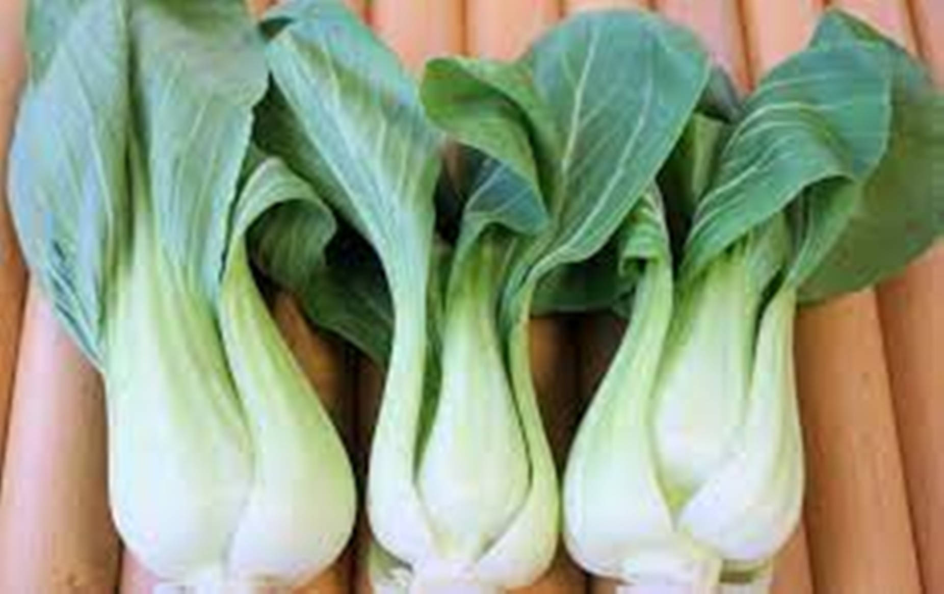 Vegetables 桌布 壁紙 — 三棵新鮮小白菜，翠綠葉片爽脆，淺色莖部，置於木條上。