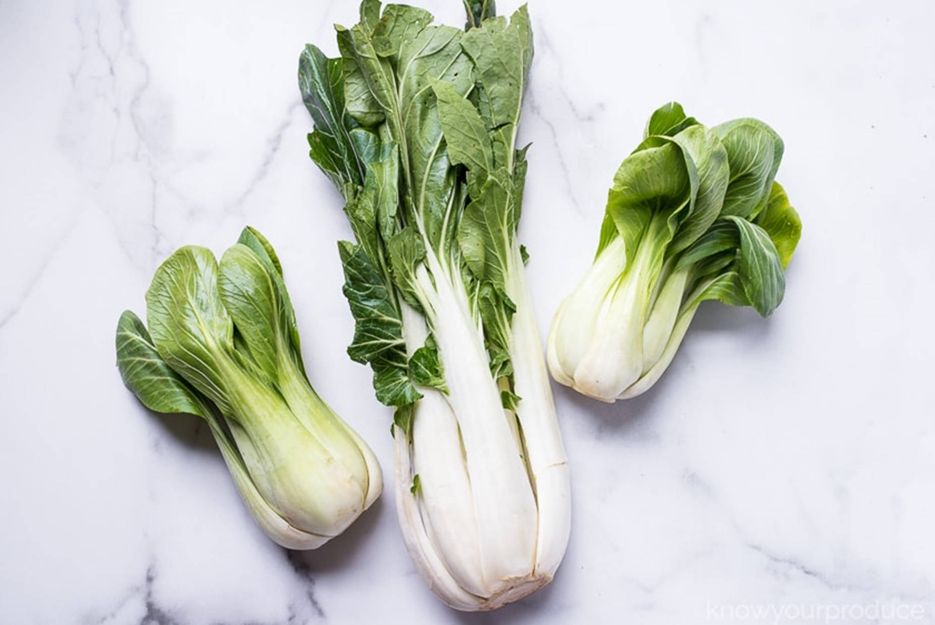 Vegetables 桌布 壁紙 — 三棵新鮮的小白菜，帶有爽脆的白色莖和鮮綠色的葉子，放在乾淨的白色大理石表面上。