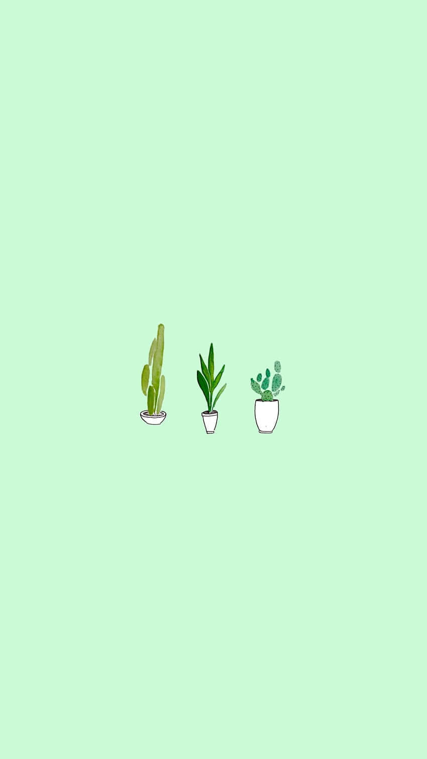Cactus 桌布 壁紙 — 三棵極簡盆栽植物放在白色花盆中，居中置於柔和的薄荷綠色背景上。