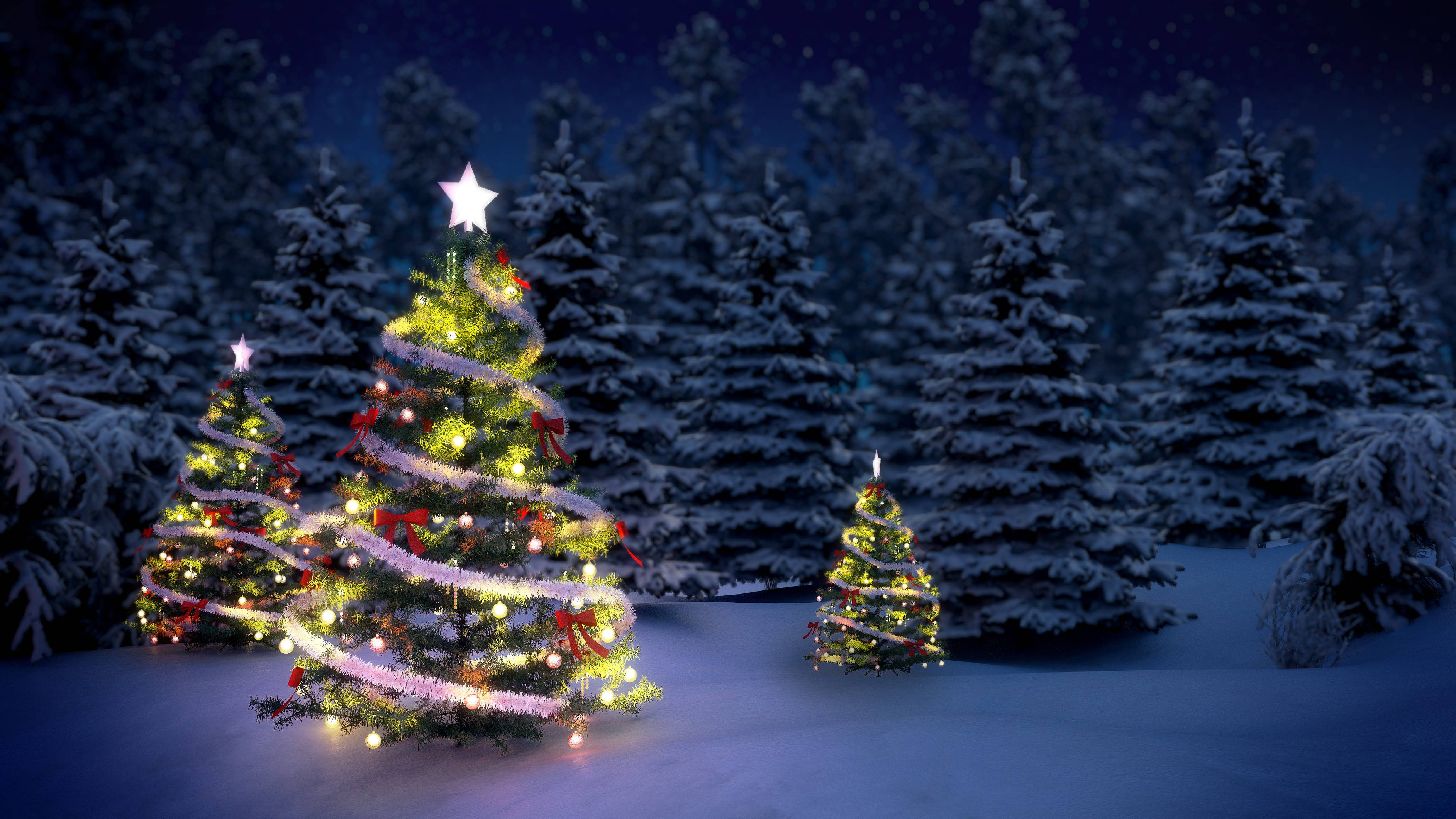 Winter Christmas 桌布 壁紙 — 三棵閃爍的聖誕樹，裝飾著燈光、絲帶和星星，矗立在雪地森林中，星空下。