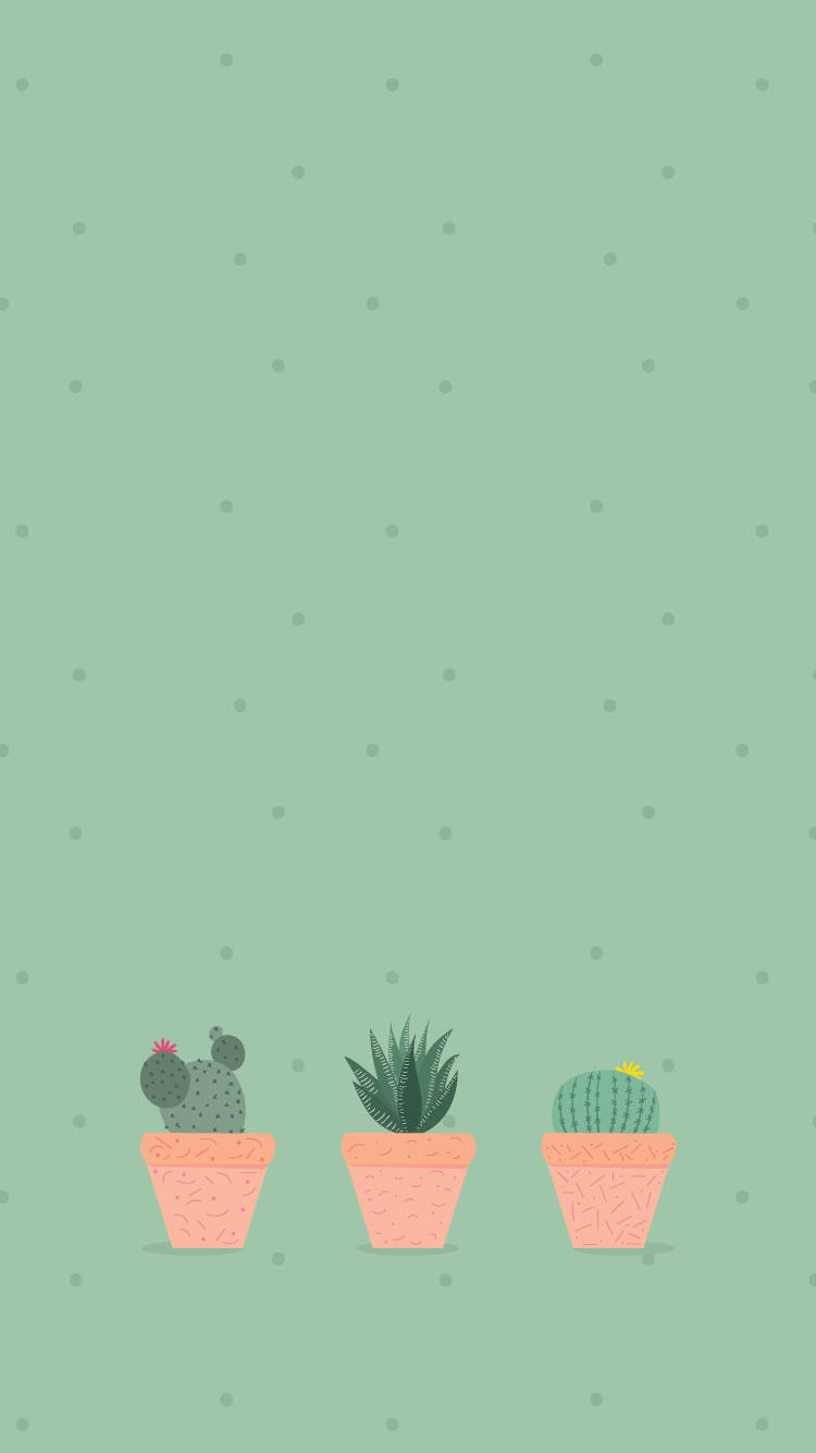 Cactus 桌布 壁紙 — 三棵風格化的盆栽仙人掌放在柔和的薄荷綠色背景上，背景點綴著微妙的灰色斑點。