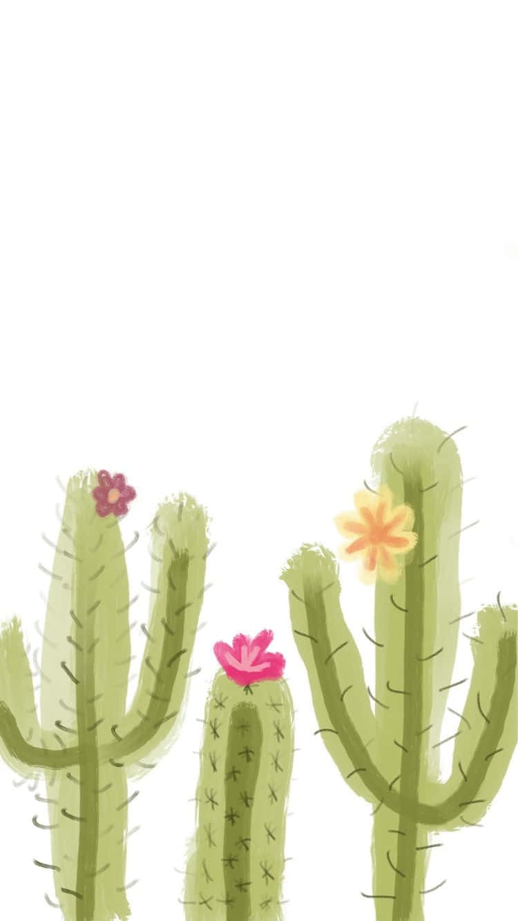 Cactus 桌布 壁紙 — 三棵風格化的綠色仙人掌，開著粉紅色和黃色的花朵，在潔白的背景上綻放。