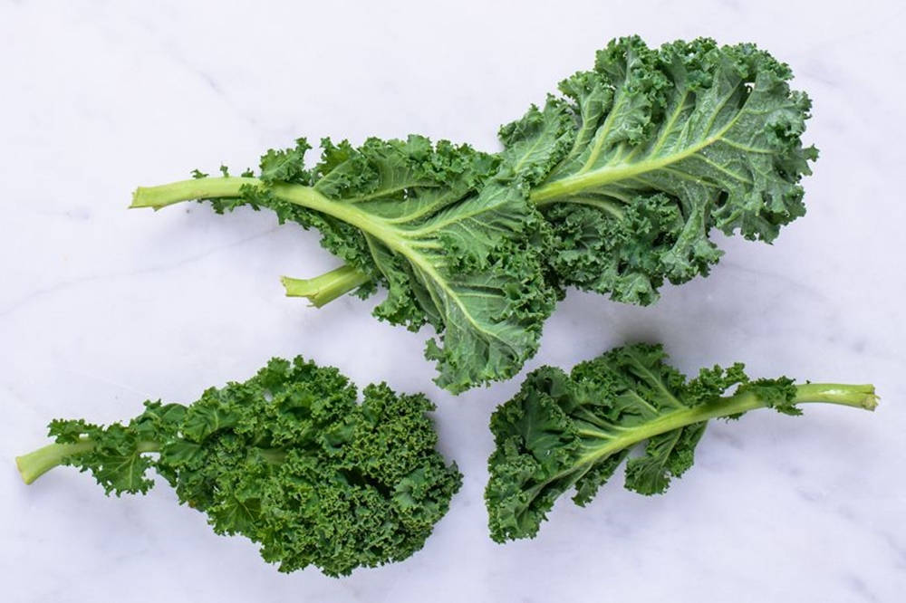 Vegetable 桌布 壁紙 — 三片充滿活力的羽衣甘藍葉，帶有深綠色皺褶邊緣，放在潔淨的白色大理石表面上。