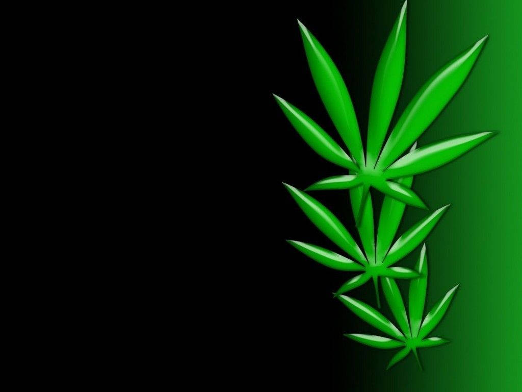 大麻 桌布 壁紙 — 三片光澤的綠色大麻葉在黑色到綠色的漸變背景上發光。