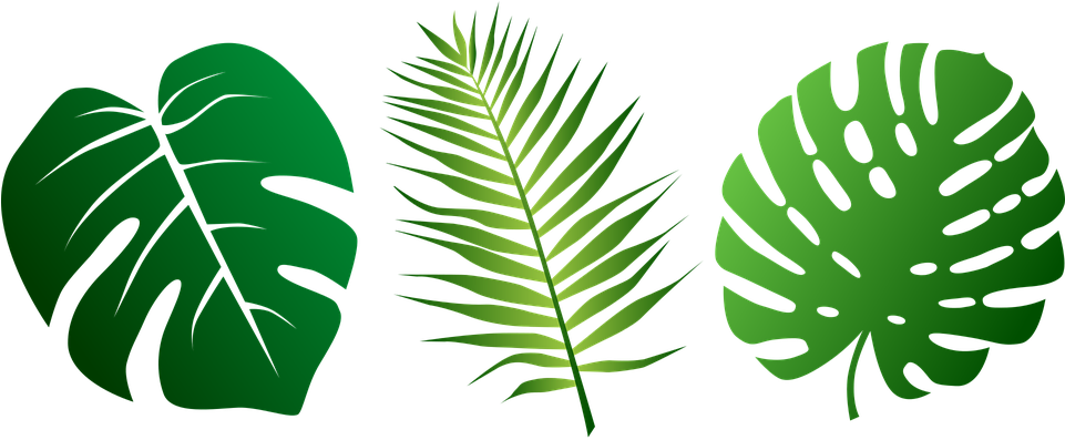 熱帶 桌布 壁紙 — 三片風格化的熱帶葉子，呈現不同深淺的綠色，在純黑色背景上脫穎而出。