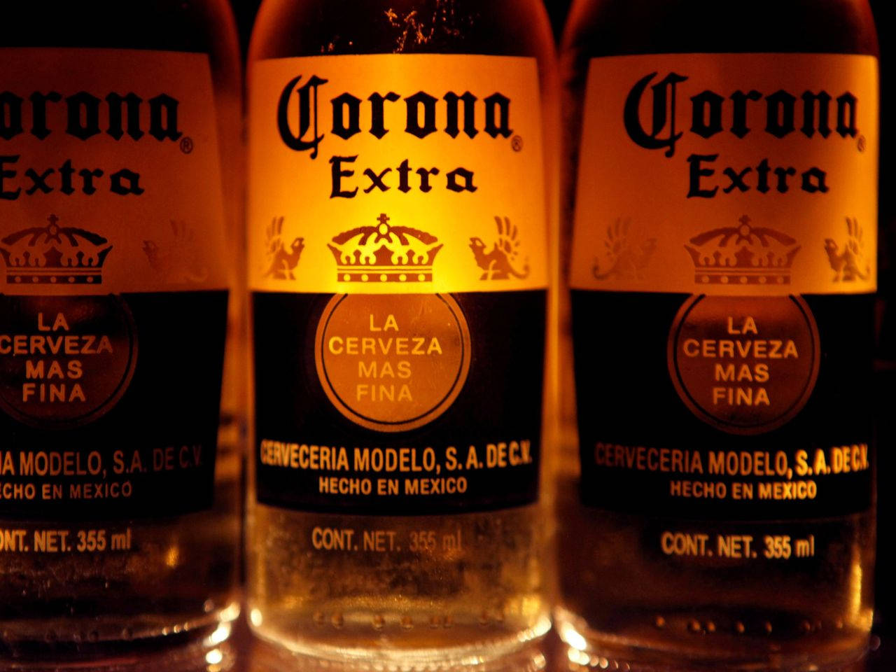 corona 桌布 壁紙 — 三瓶Corona Extra啤酒在金色燈光下溫暖地發光，標籤清晰，帶有冷凝水滴。