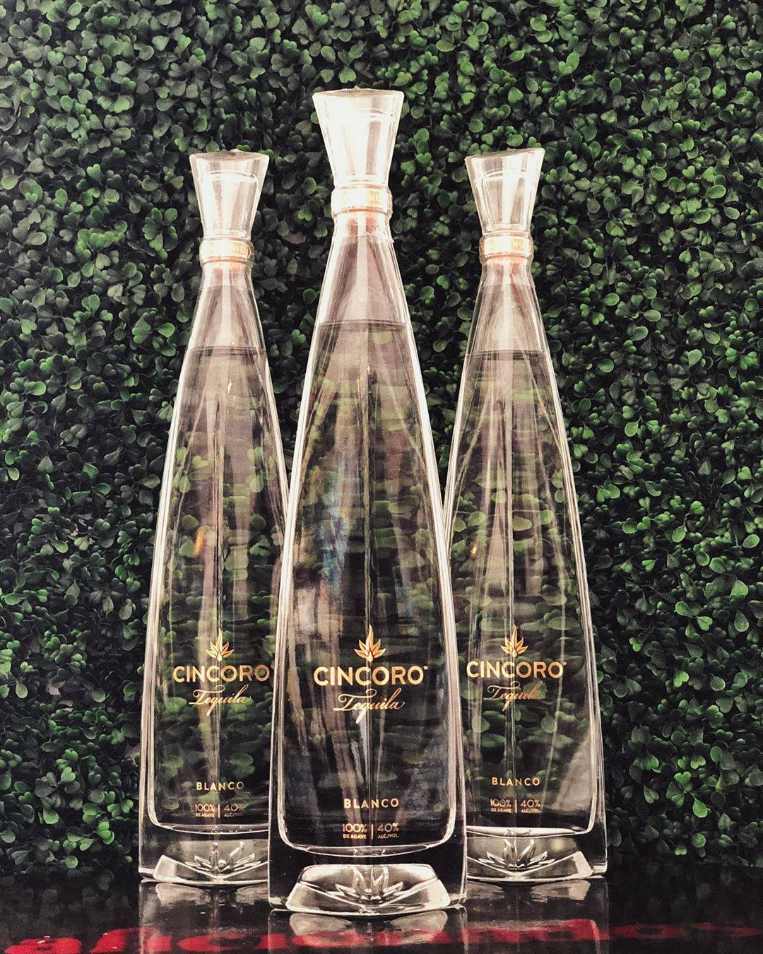 bottle 桌布 壁紙 — 三瓶優雅的Cincoro Blanco龍舌蘭酒排列在茂密的綠色樹籬牆前，下方有反射表面。