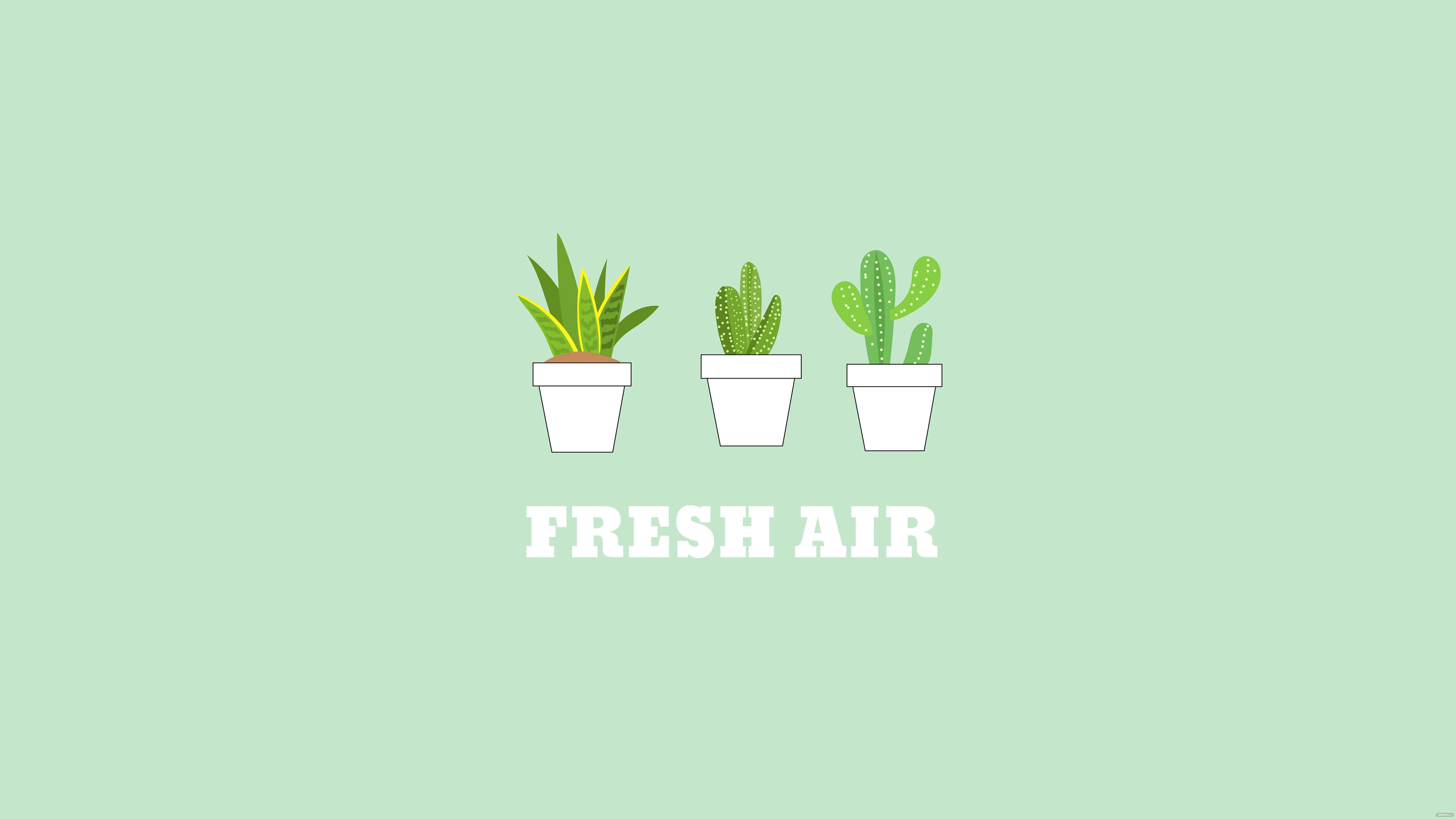 Cute Mint Green Aesthetic 桌布 壁紙 — 三盆多肉植物和仙人掌放在薄荷綠色背景上，帶有粗體白色文字寫著新鮮空氣。