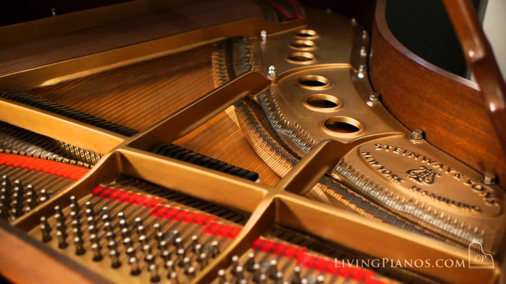 鋼琴 桌布 壁紙 — 三角鋼琴內部特寫，展現金色琴弦、琴槌和 Steinway & Sons 標誌。