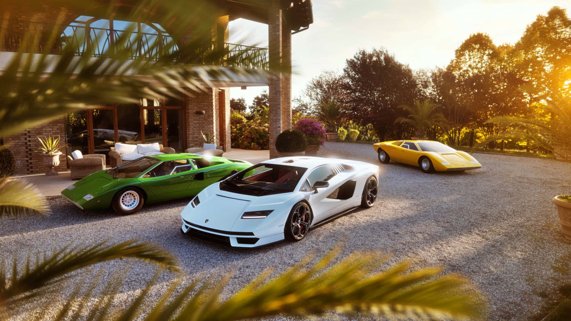 Lamborghini Countach 桌布 壁紙 — 三輛時尚的綠色、白色和黃色藍寶堅尼超級跑車在碎石車道上閃閃發光，周圍環繞著棕櫚葉和豪華別墅，正值黃金時刻。