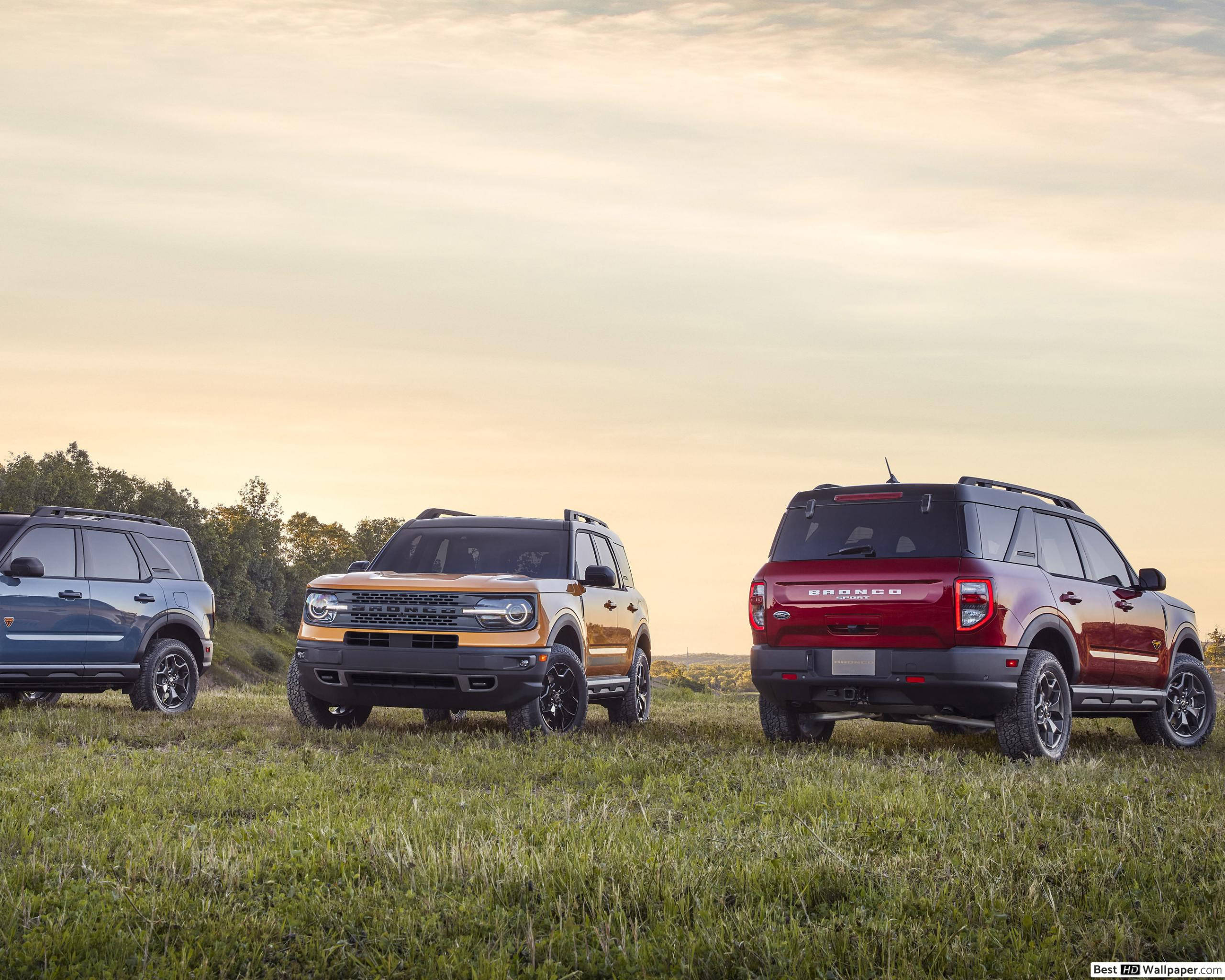 Ford Bronco 桌布 壁紙 — 三輛藍色、金色和紅色的福特Bronco SUV並排停在草地上，背景是柔和的金色日落天空。