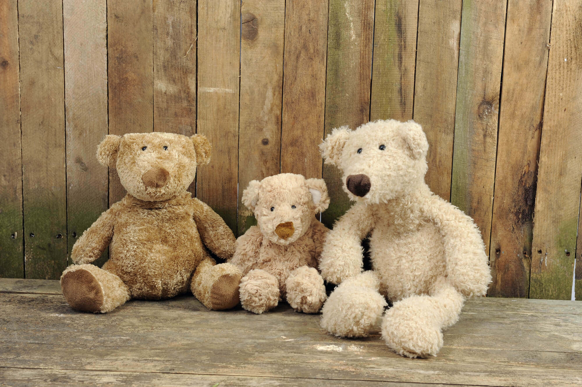 Teddy Bear 桌布 壁紙 — 三隻不同大小的毛絨絨泰迪熊並排坐在一張風化的木長椅上，背景是質樸的木柵欄。