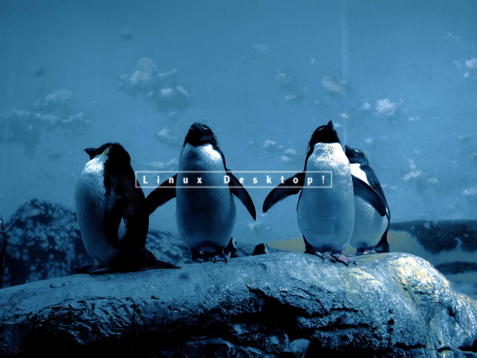 Linux 桌布 壁紙 — 三隻企鵝站在岩石上，藍色天空下帶有「Linux Desktop!」文字疊加。