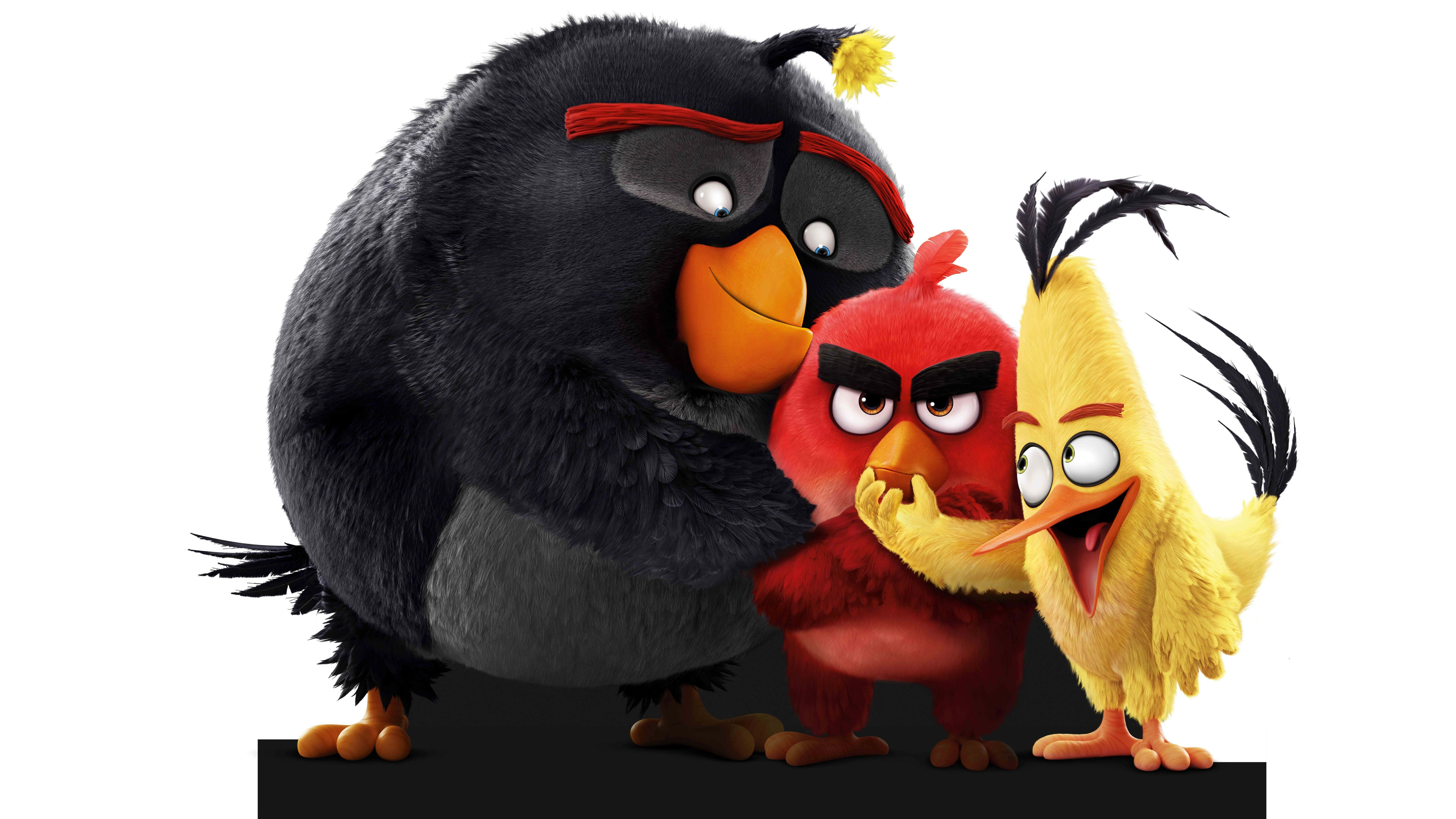 Angry Birds 桌布 壁紙 — 三隻來自《憤怒鳥》的動畫鳥站在白色背景的黑色平台上。