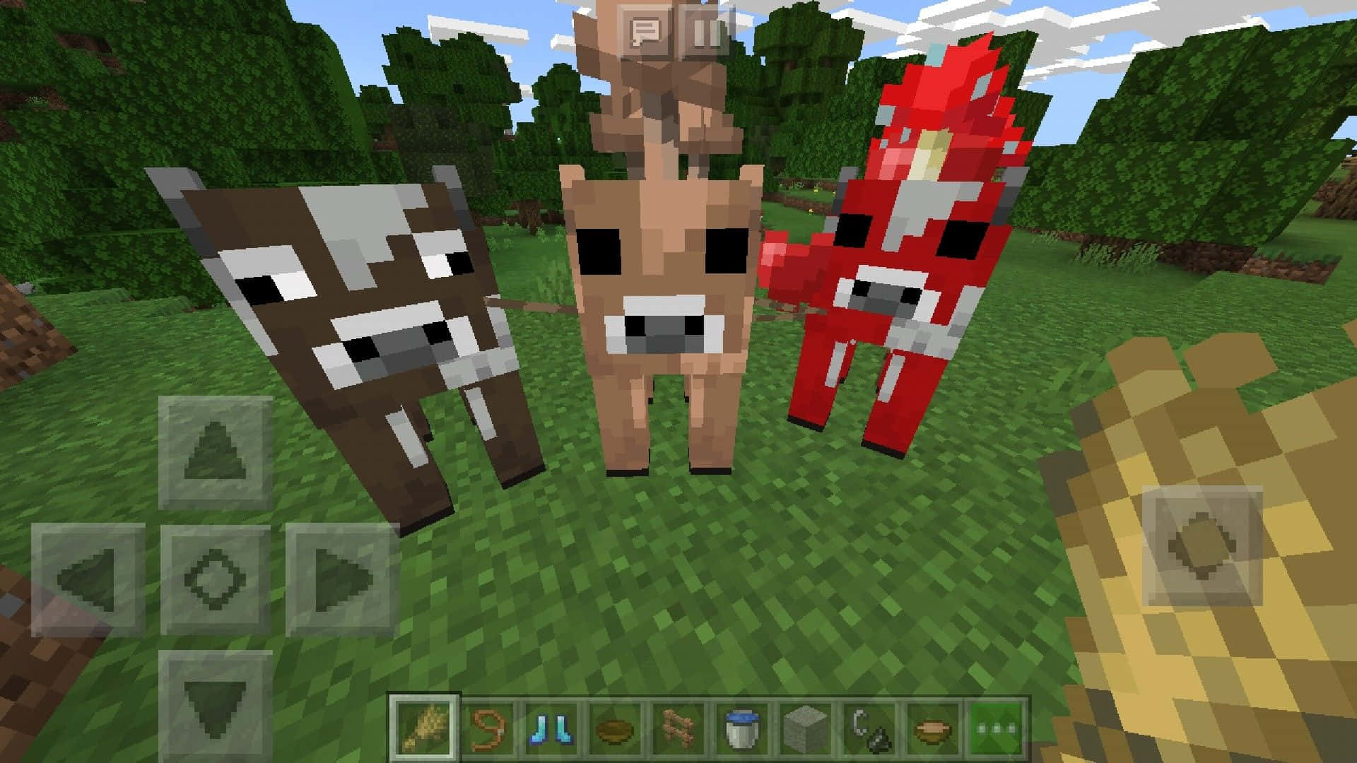 Minecraft Cow 桌布 壁紙 — 三隻像素化的Minecraft牛，帶有獨特的顏色圖案，站在明亮的天空下的草地上。