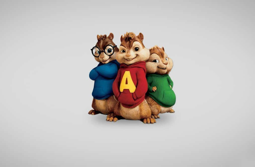 All Cartoon Characters 桌布 壁紙 — 三隻動畫花栗鼠穿著色彩繽紛的連帽衫，在純灰色背景前開心地擺姿勢。