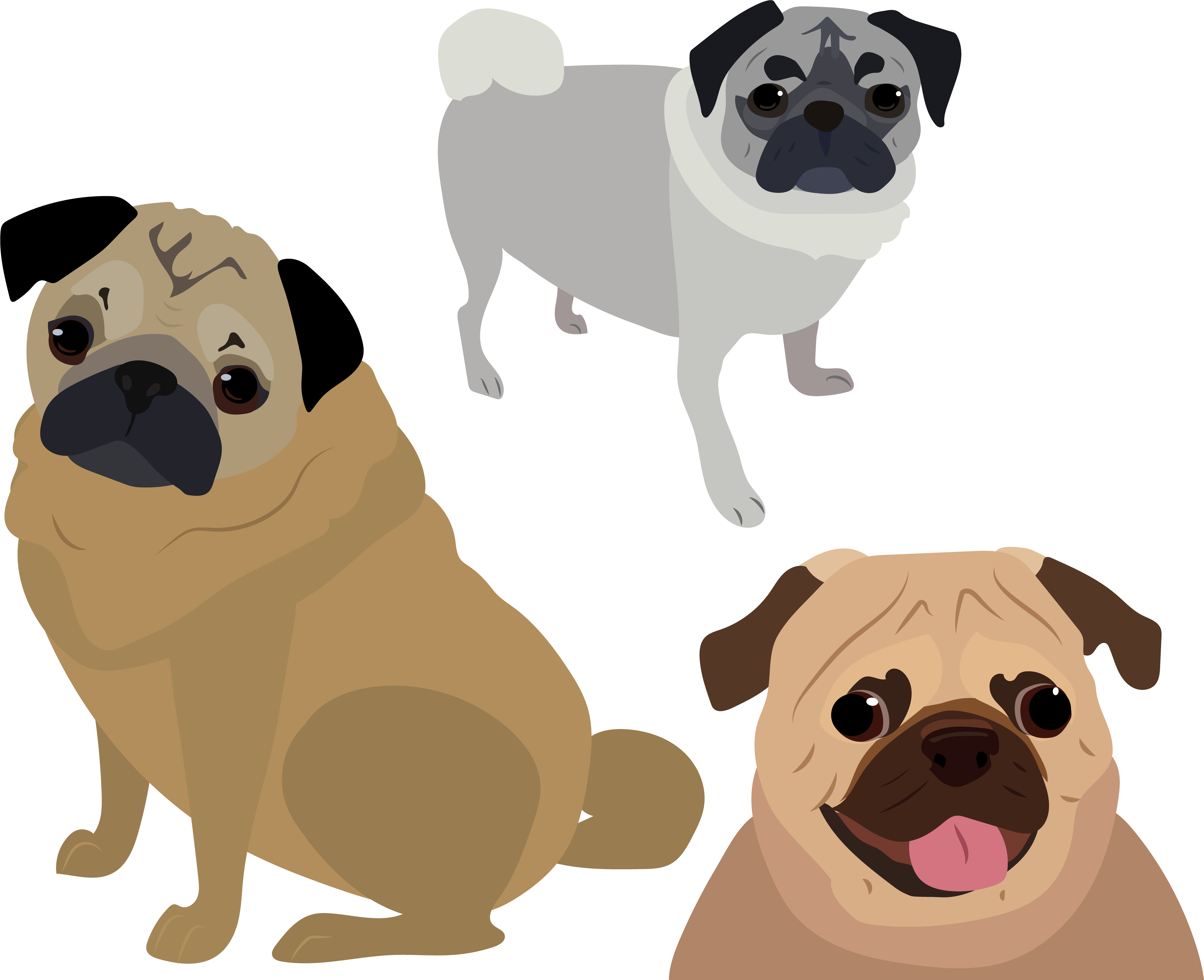 三隻卡通巴哥犬插畫 壁紙