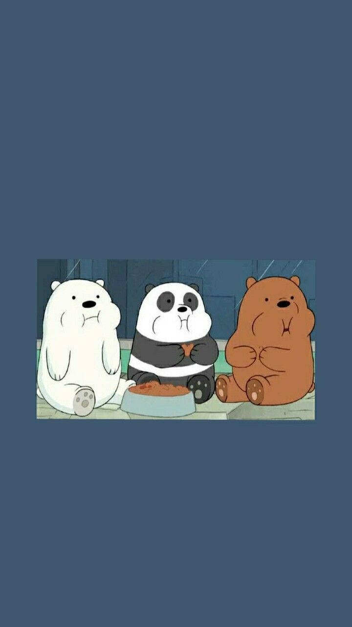 熊熊遇見你 桌布 壁紙 — 三隻卡通熊一起坐在燈光昏暗的房間裡，中間放著一個食物碗。