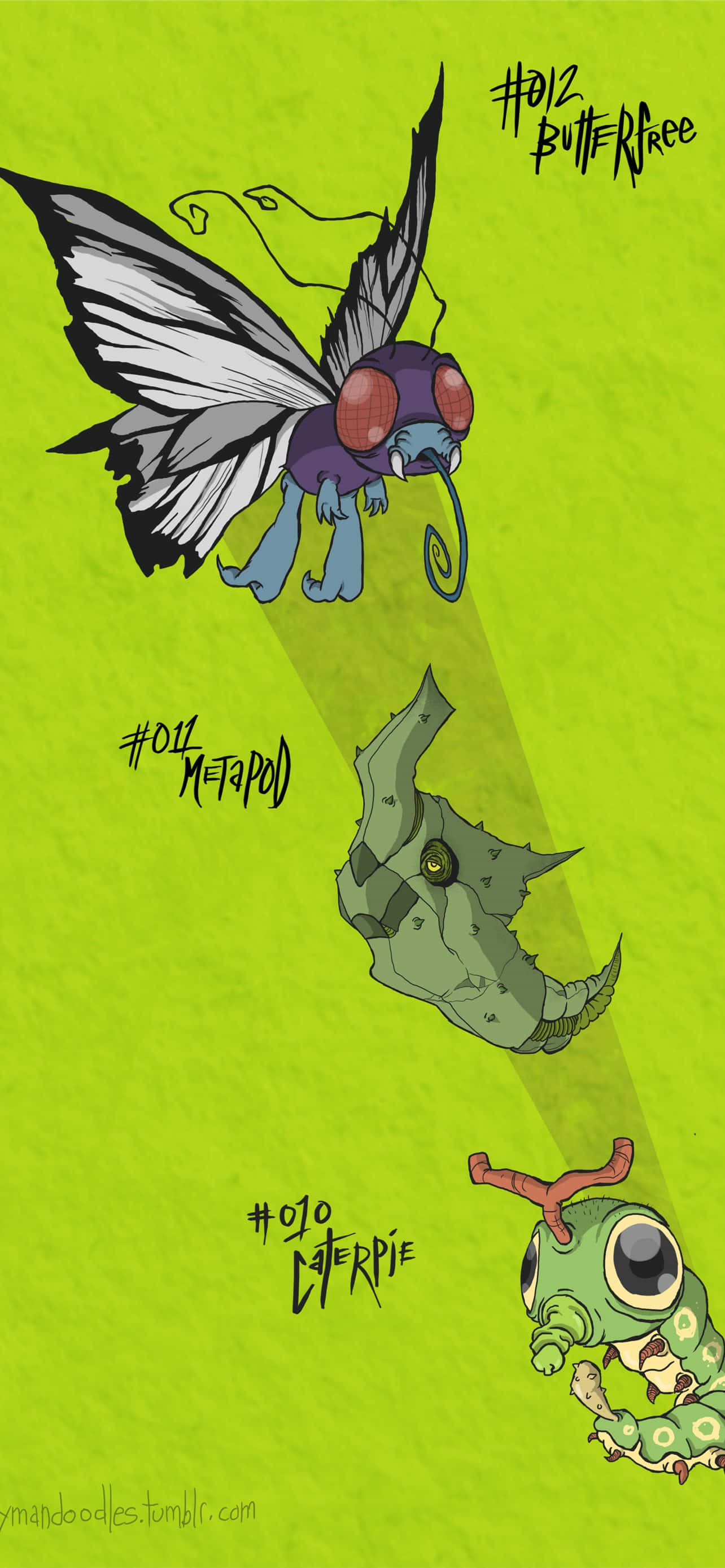 寶可夢 桌布 壁紙 — 三隻卡通風格的寶可夢生物，分別名為 Butterfree、Metapod 和 Caterpie，漂浮在帶有紋理的萊姆綠色背景上。