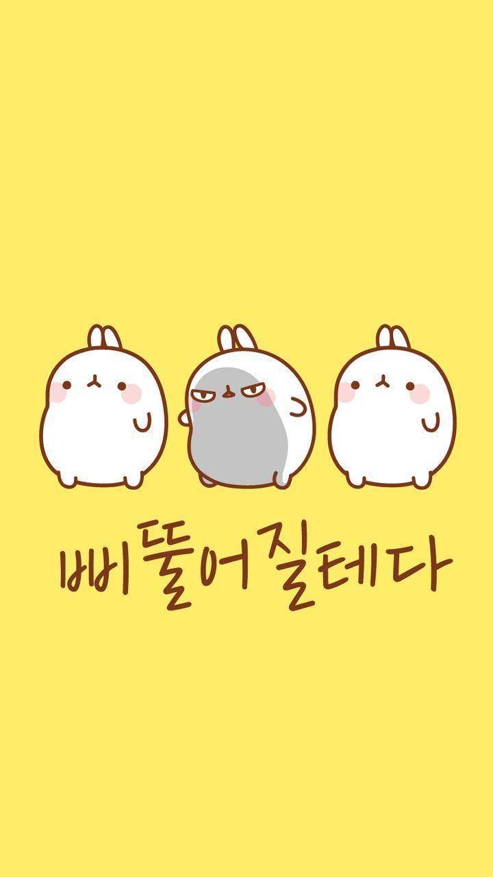 Molang 桌布 壁紙 — 三隻可愛卡通兔子，中間一隻灰色臭臉，兩邊是兩隻微笑白色兔子，背景是亮黃色。