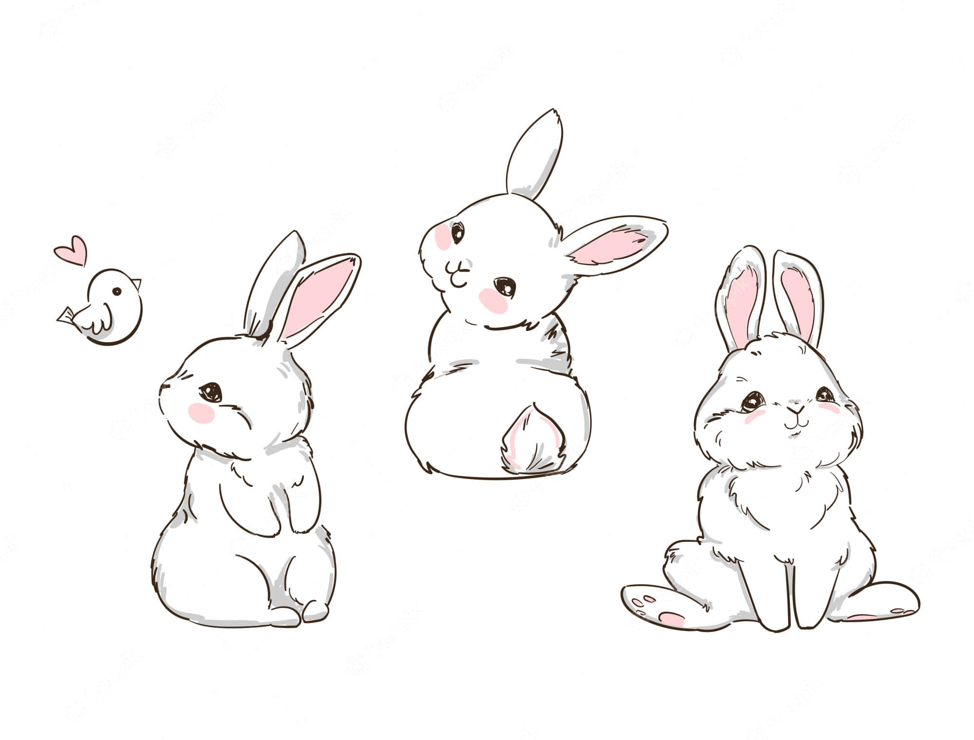 Cute White 桌布 壁紙 — 三隻可愛的卡通兔，粉紅色內耳，附近有一隻小鳥帶著心形。