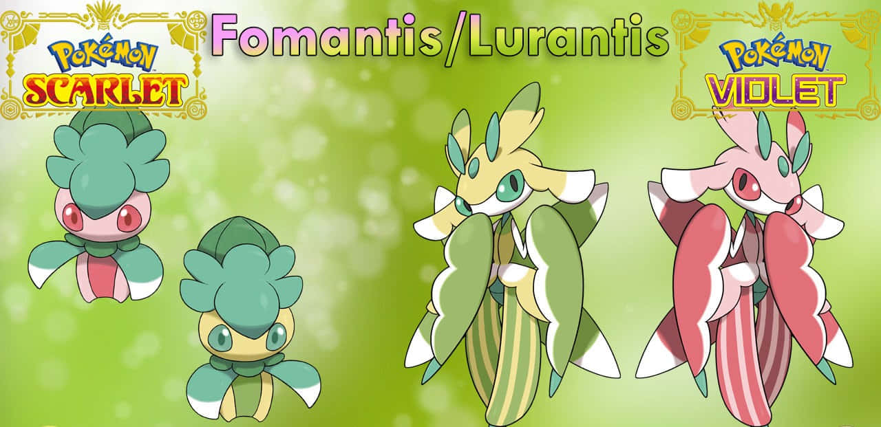 寶可夢 桌布 壁紙 — 三隻寶可夢 Fomantis Lurantis 及其進化形態在發光的綠色背景上展示，並附有遊戲標題。