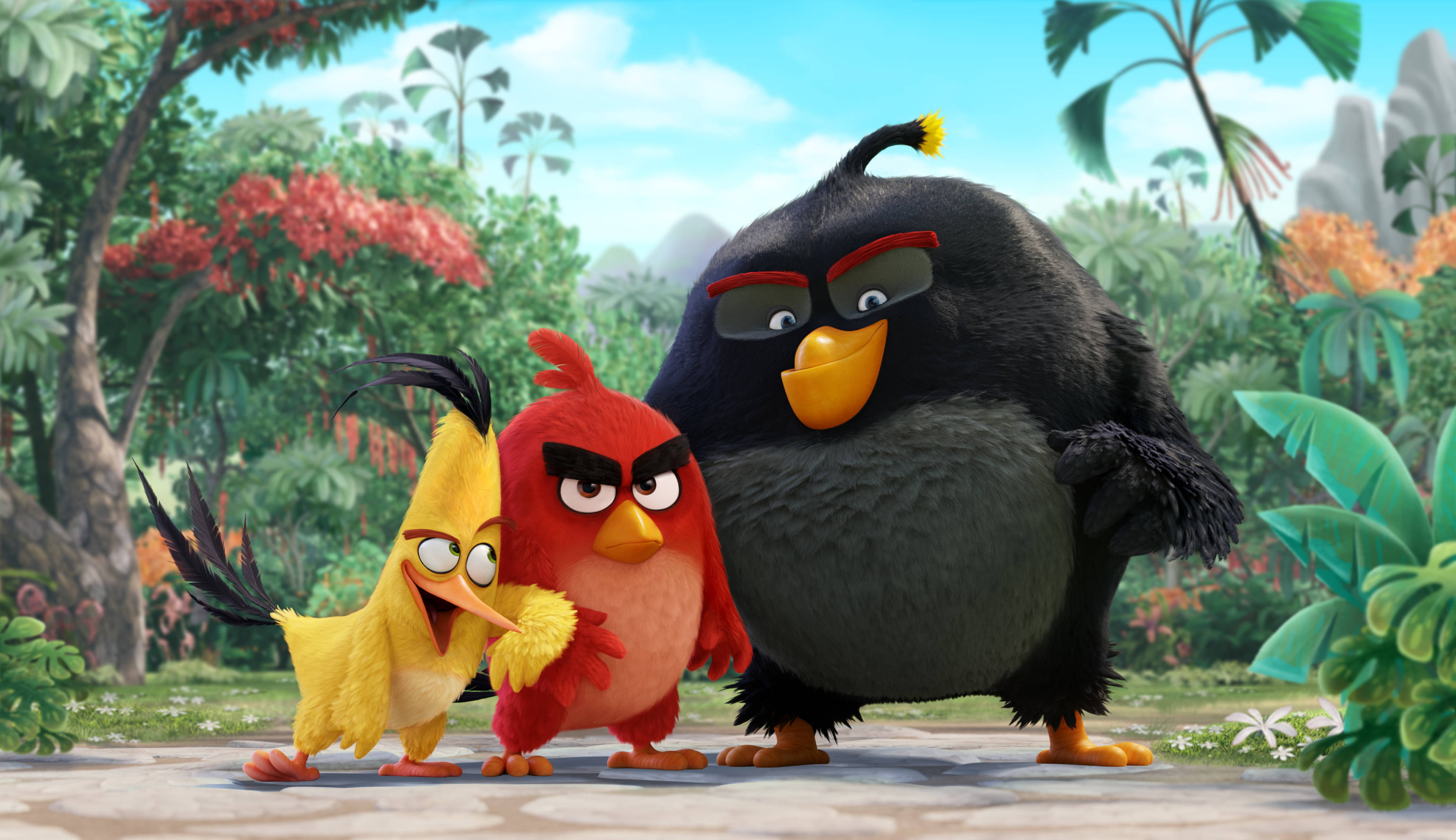 Angry Birds HD 桌布 壁紙 — 三隻帶有憤怒表情的動畫鳥類在充滿活力的叢林環境中站在一起。